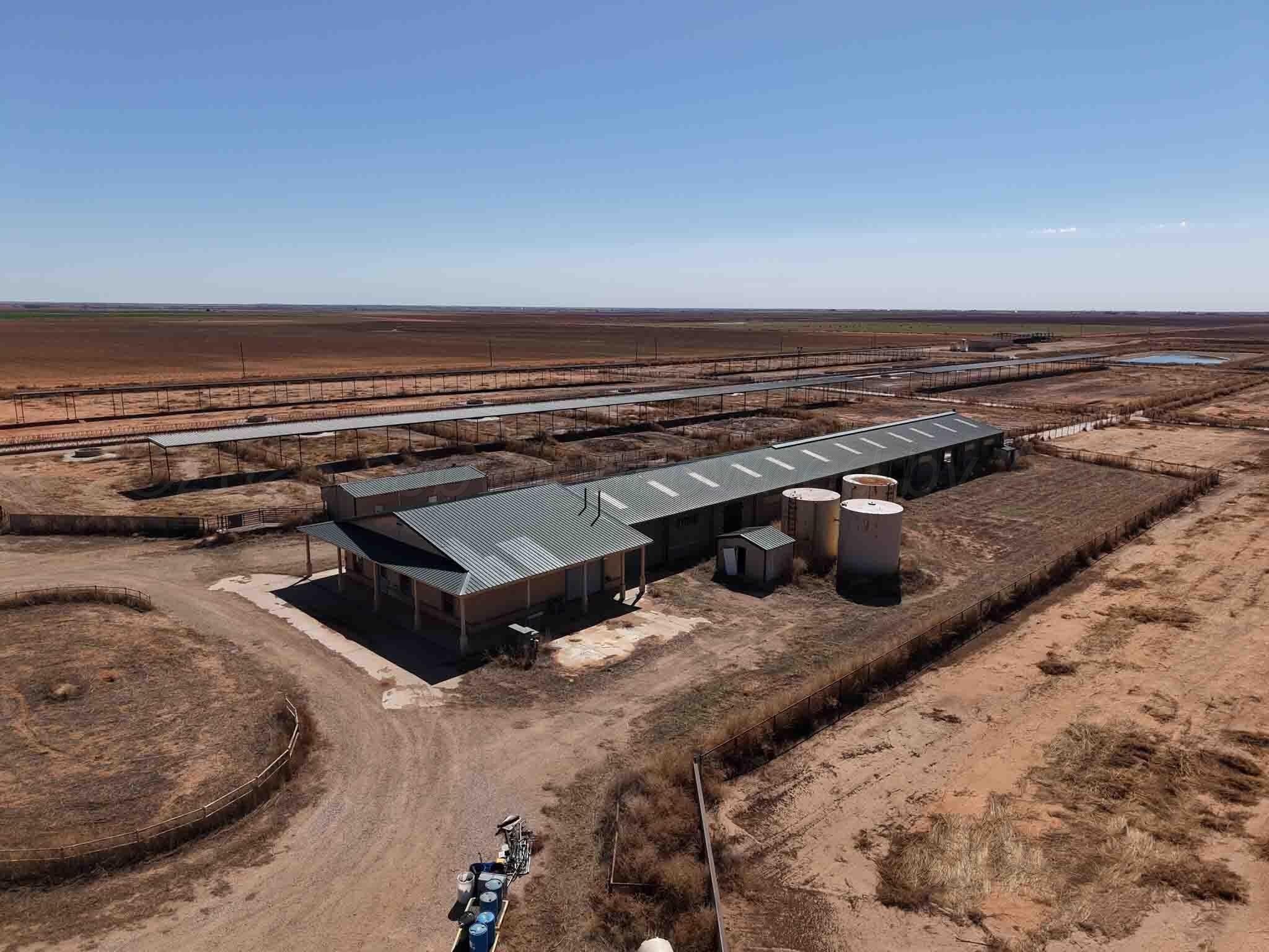 280 acres in Terry County gallery image 2