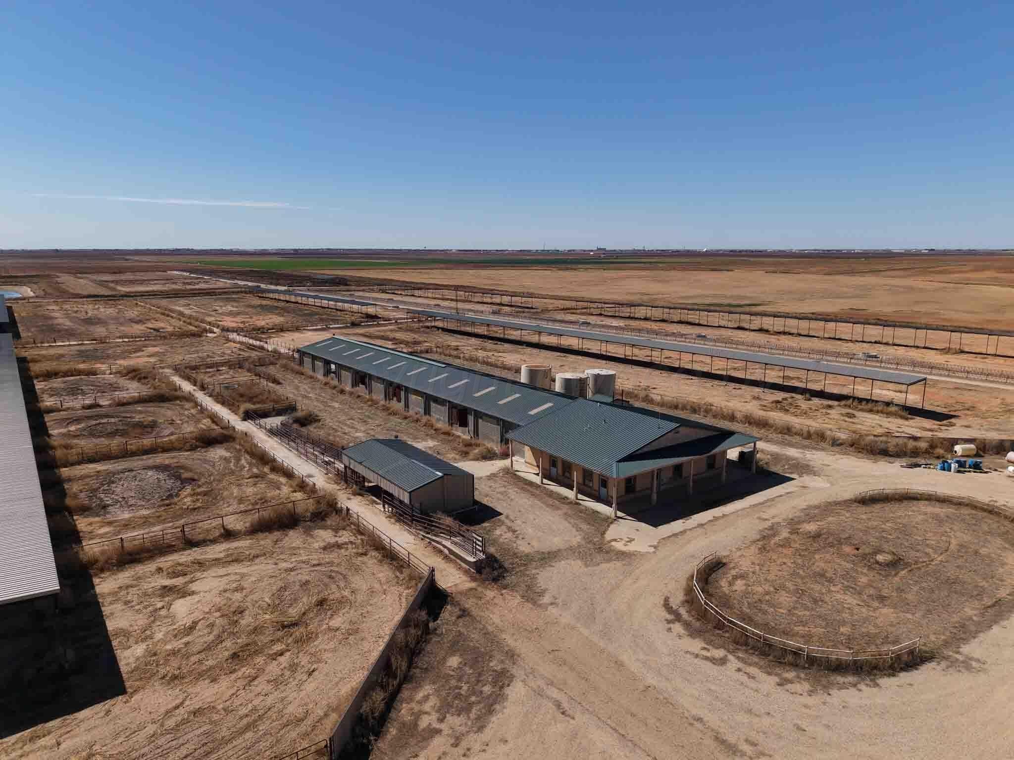280 acres in Terry County - photo 6
