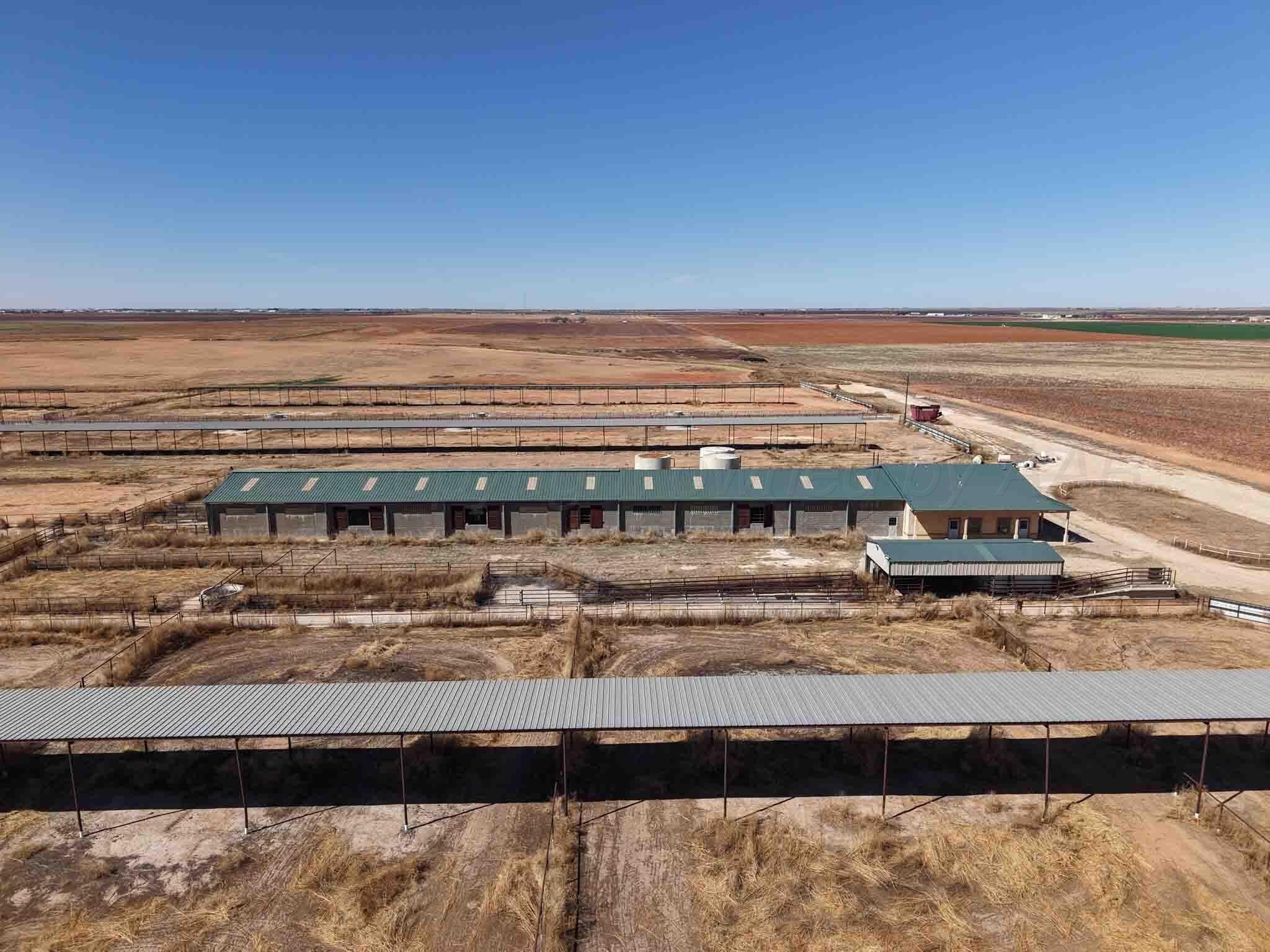 280 acres in Terry County featured view