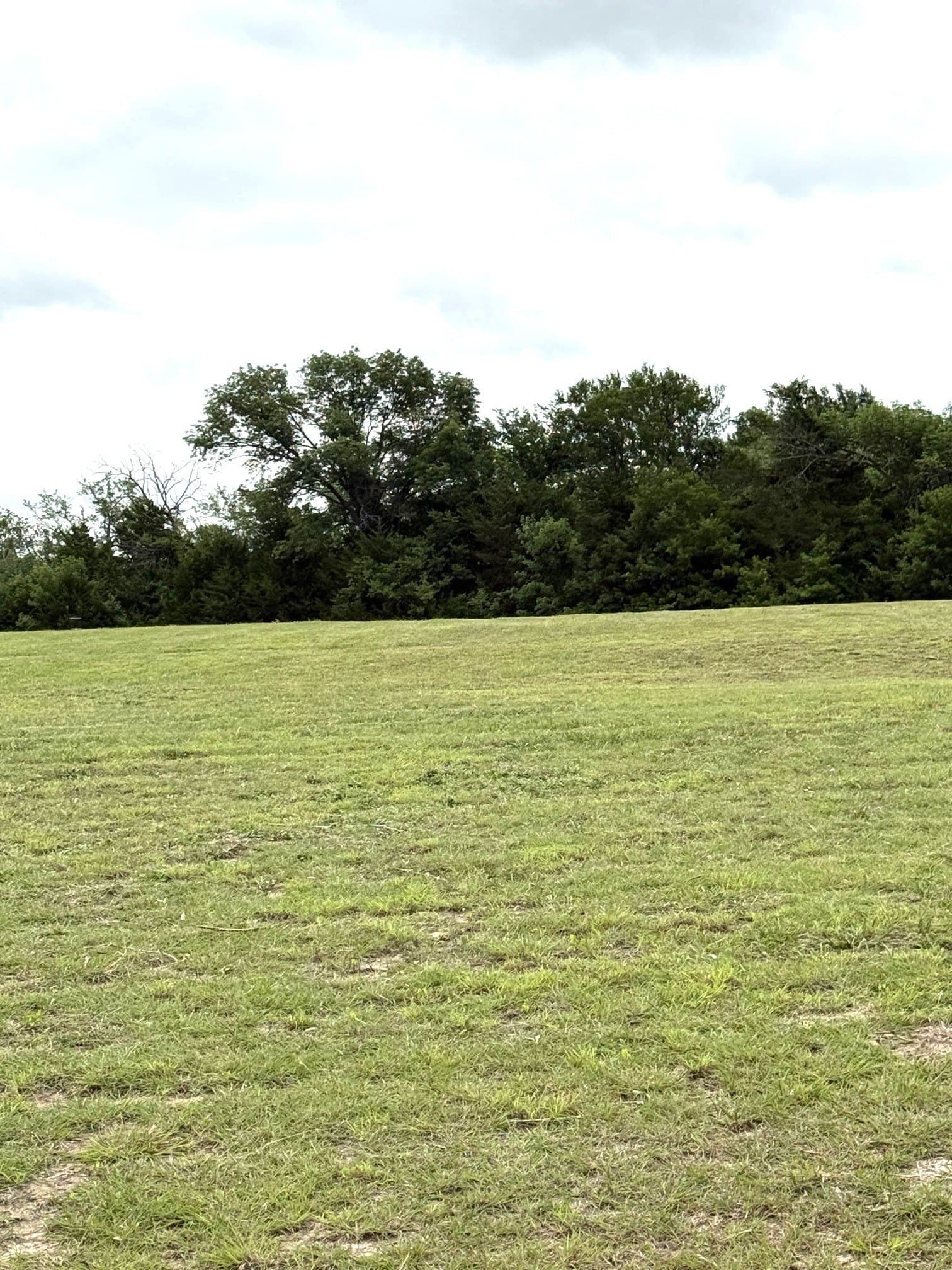 1.5 acres in Grayson County gallery image 2