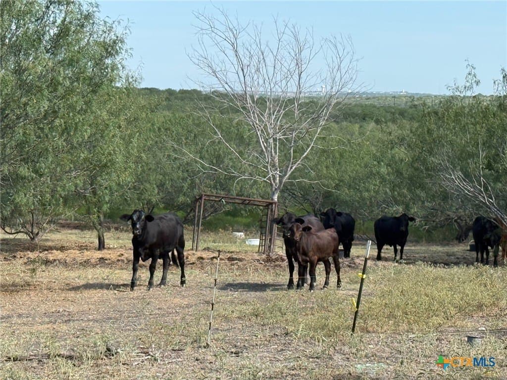 49.93 acres in Hays County - photo 13