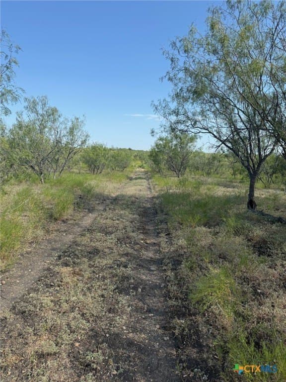 49.93 acres in Hays County - photo 11