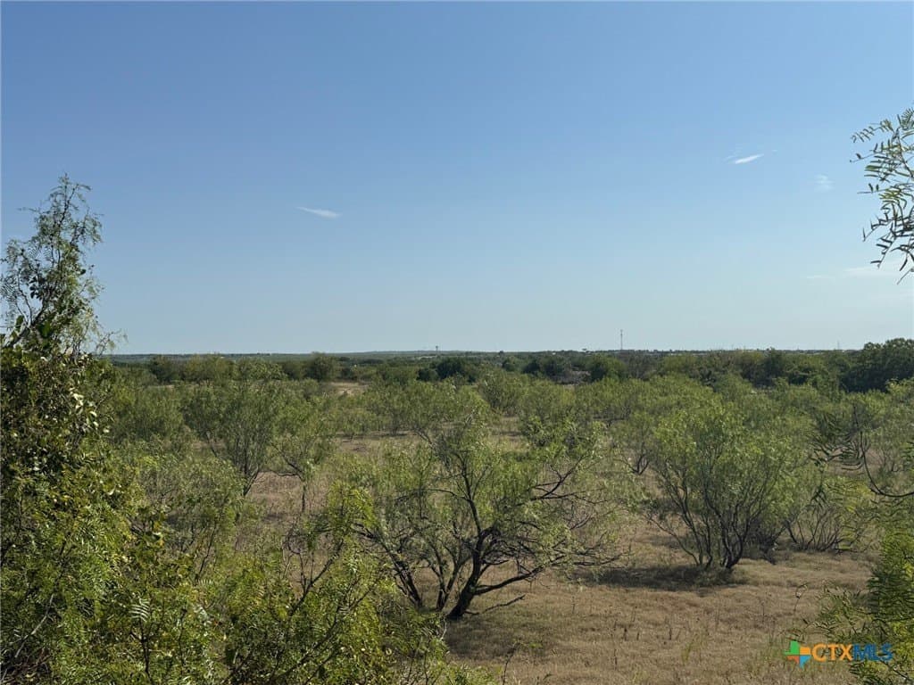 49.93 acres in Hays County - photo 10