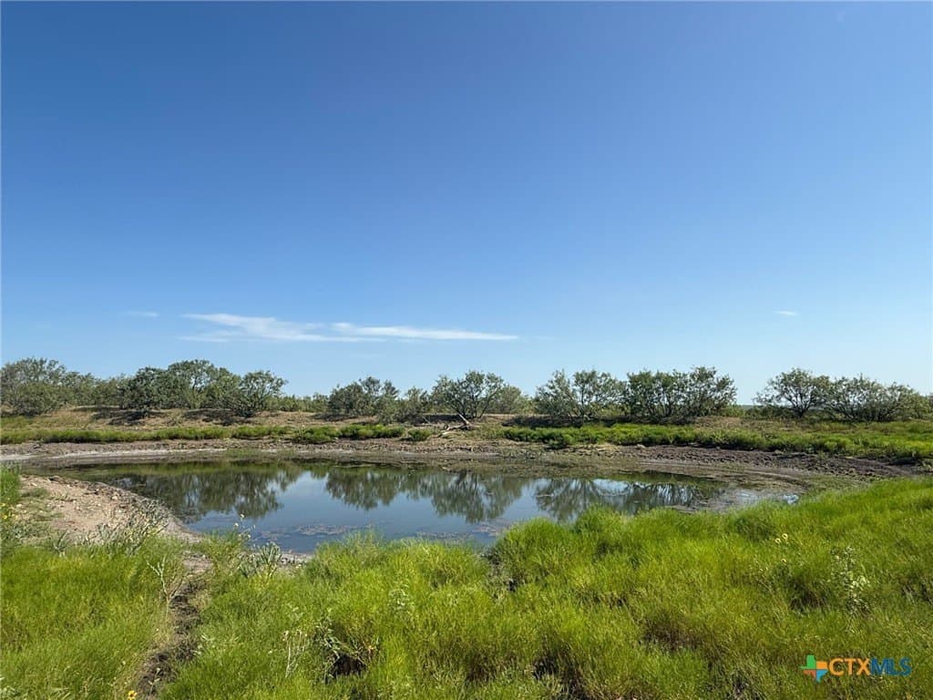 49.93 acres in Hays County - photo 6