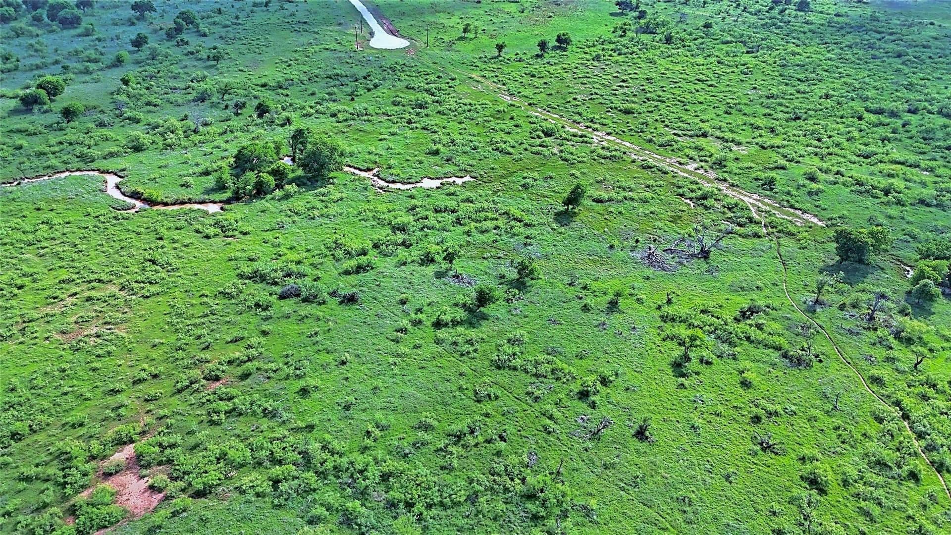10.01 acres in Montague County - photo 18