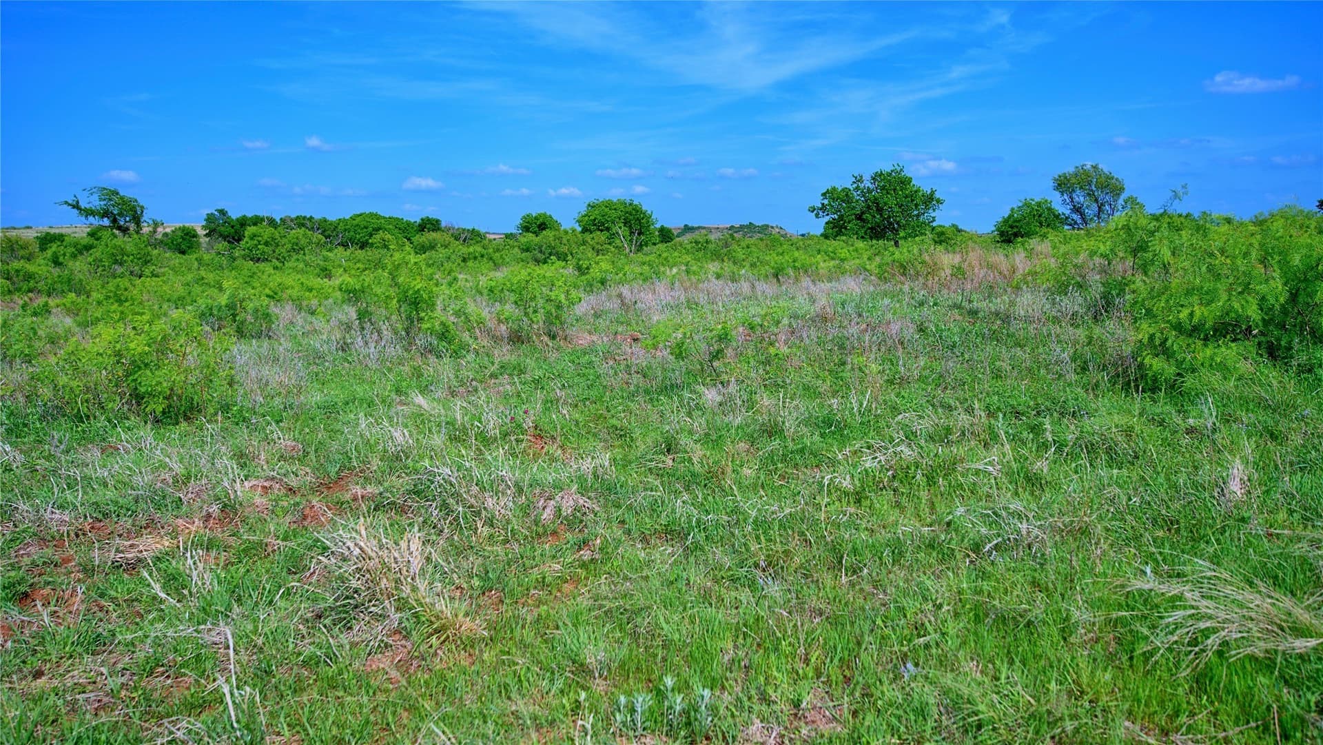 10.01 acres in Montague County - photo 25