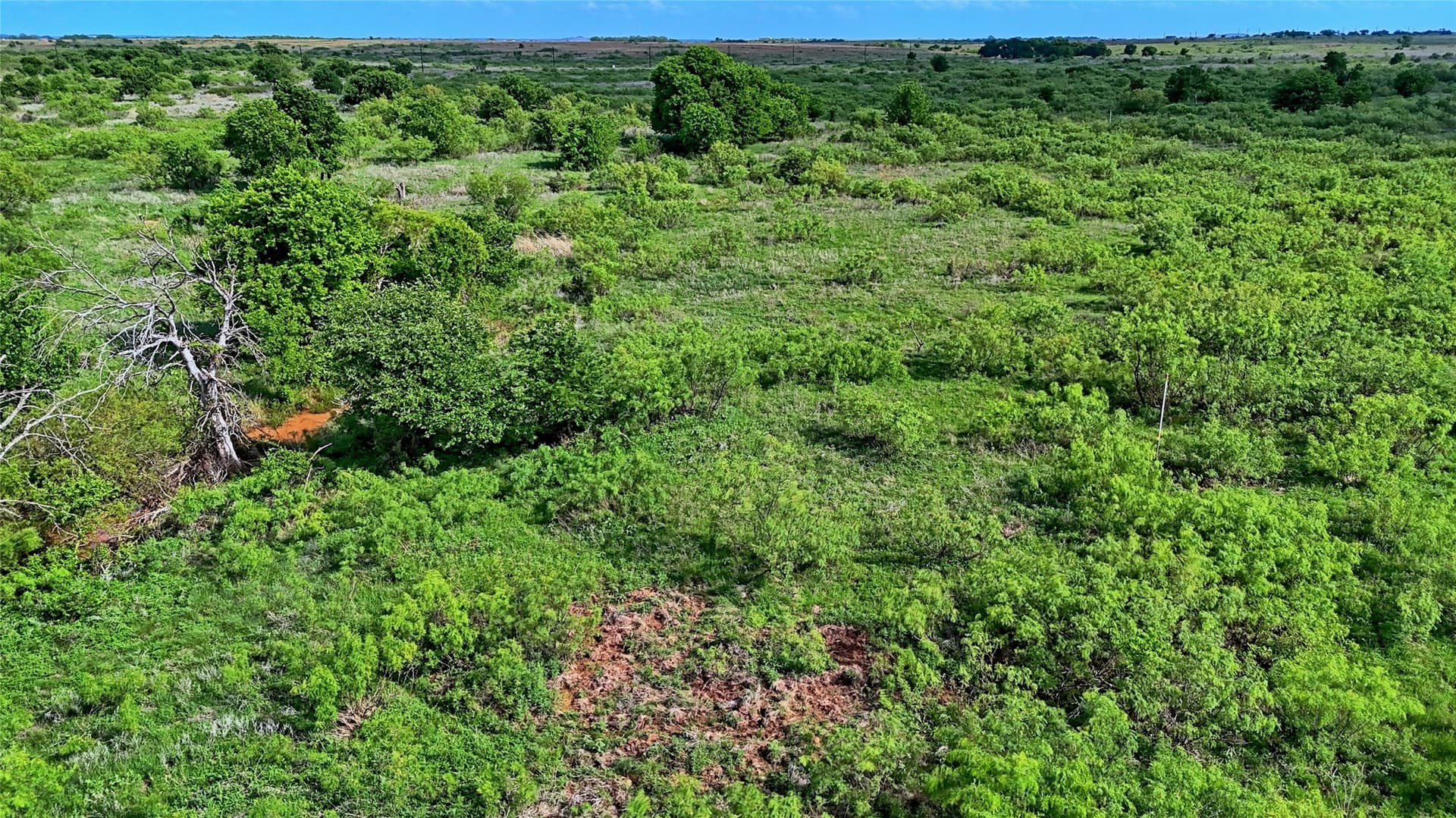 10.01 acres in Montague County - photo 17