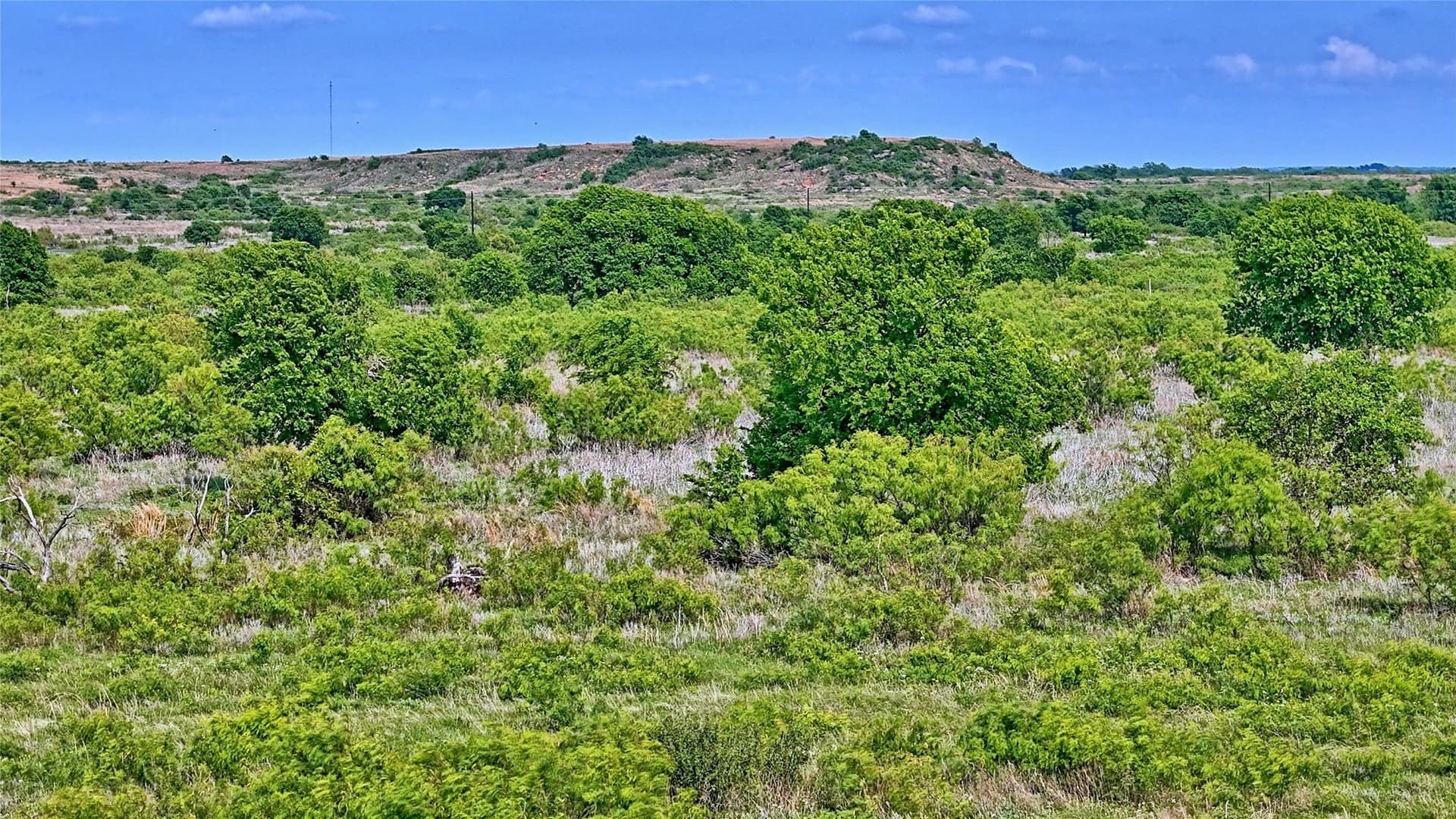 10.01 acres in Montague County - photo 7