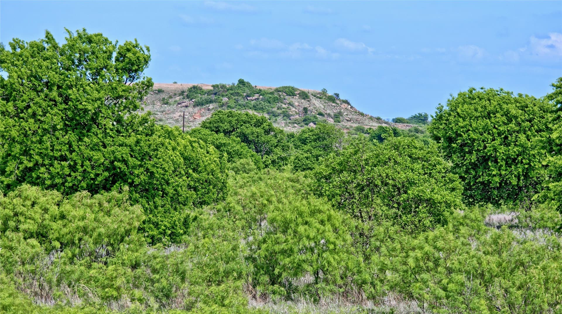 10.01 acres in Montague County - photo 23