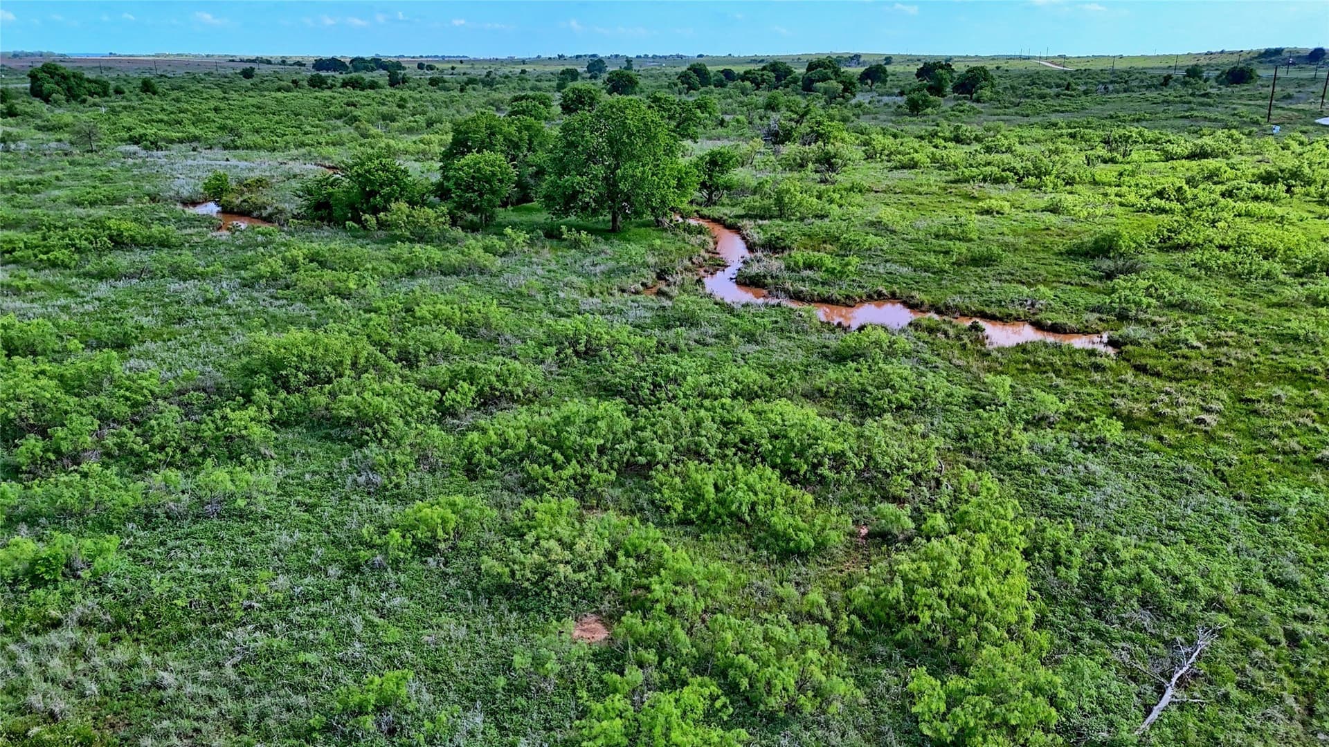 10.01 acres in Montague County - photo 15