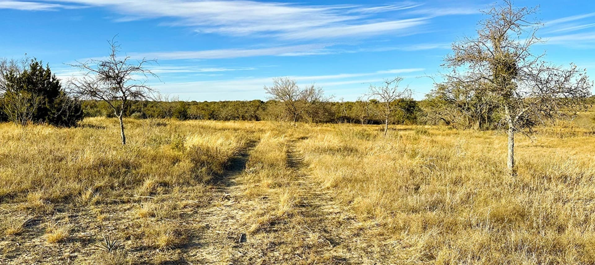 14.03 acres in Comanche County gallery image 2