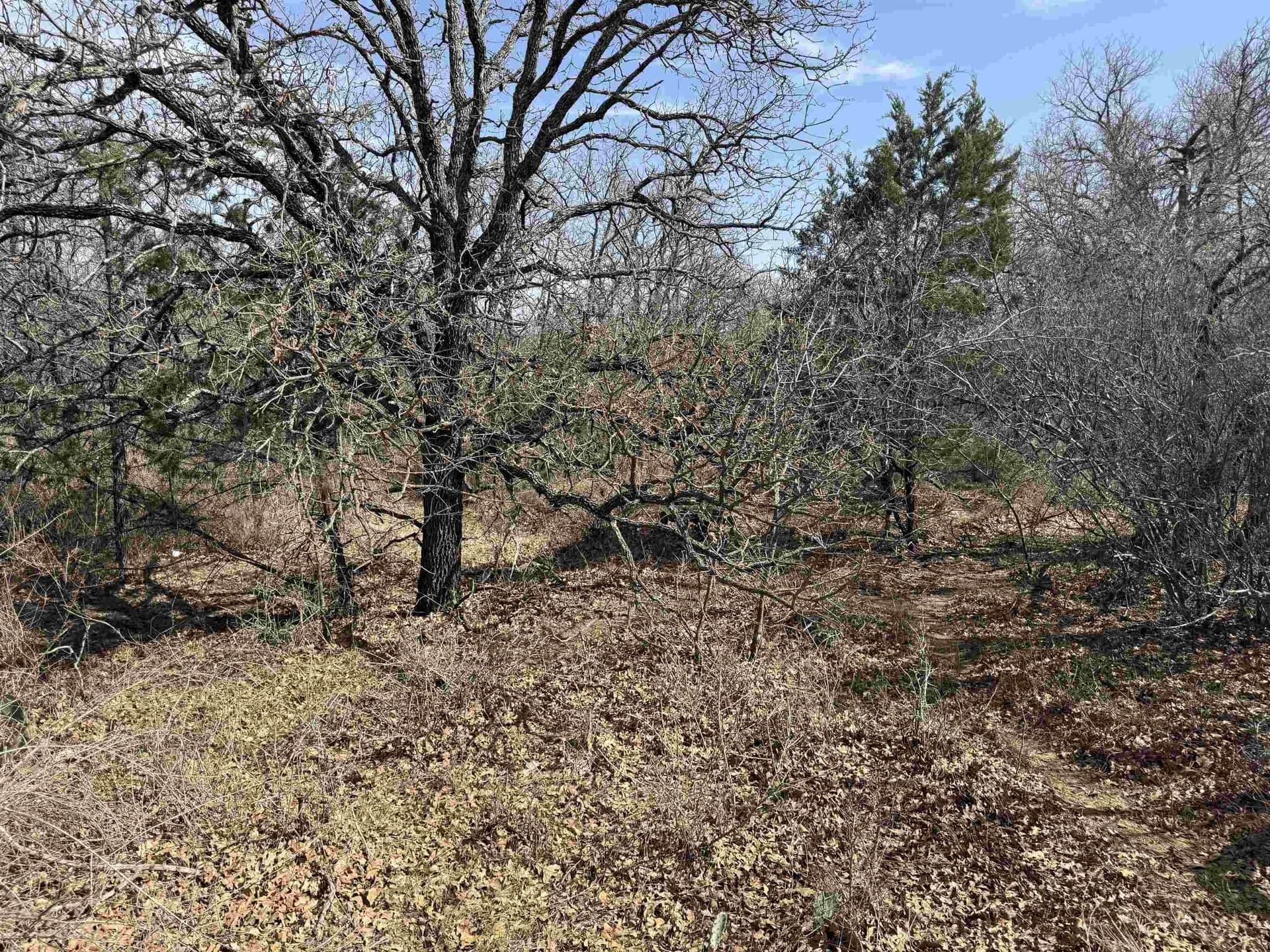 1.93 acres in Llano County featured view