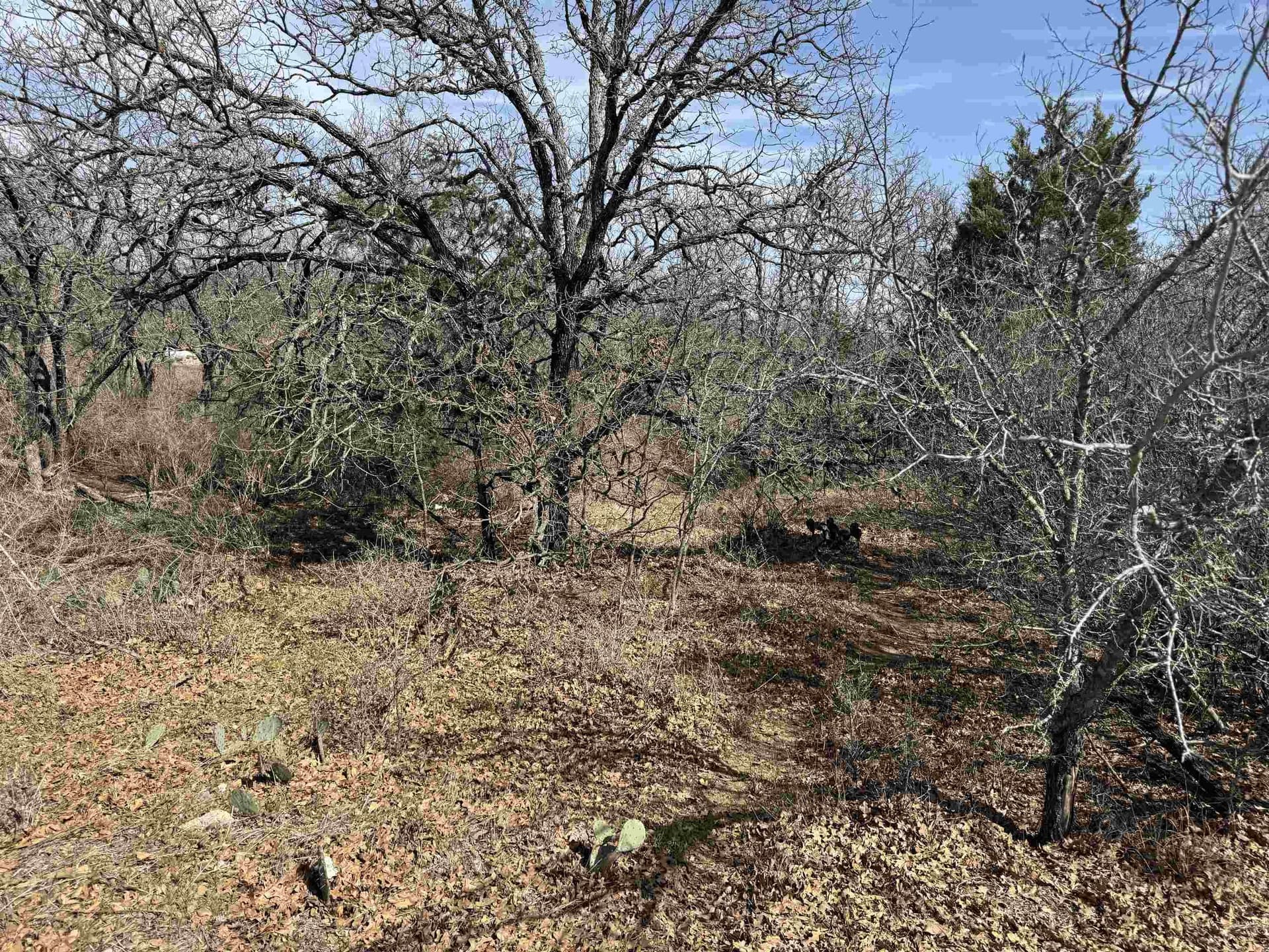 1.93 acres in Llano County gallery image 4
