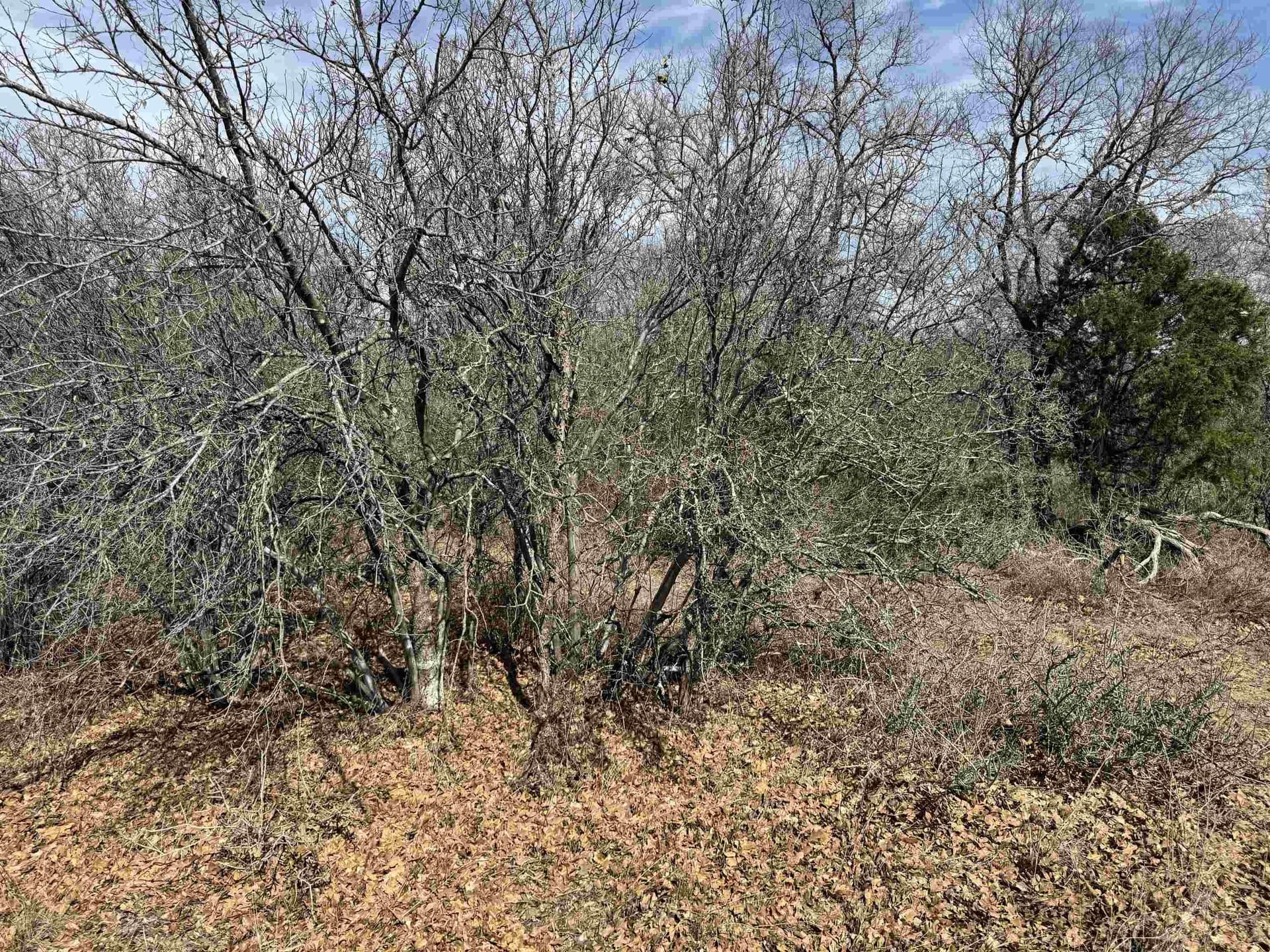 1.93 acres in Llano County - photo 6