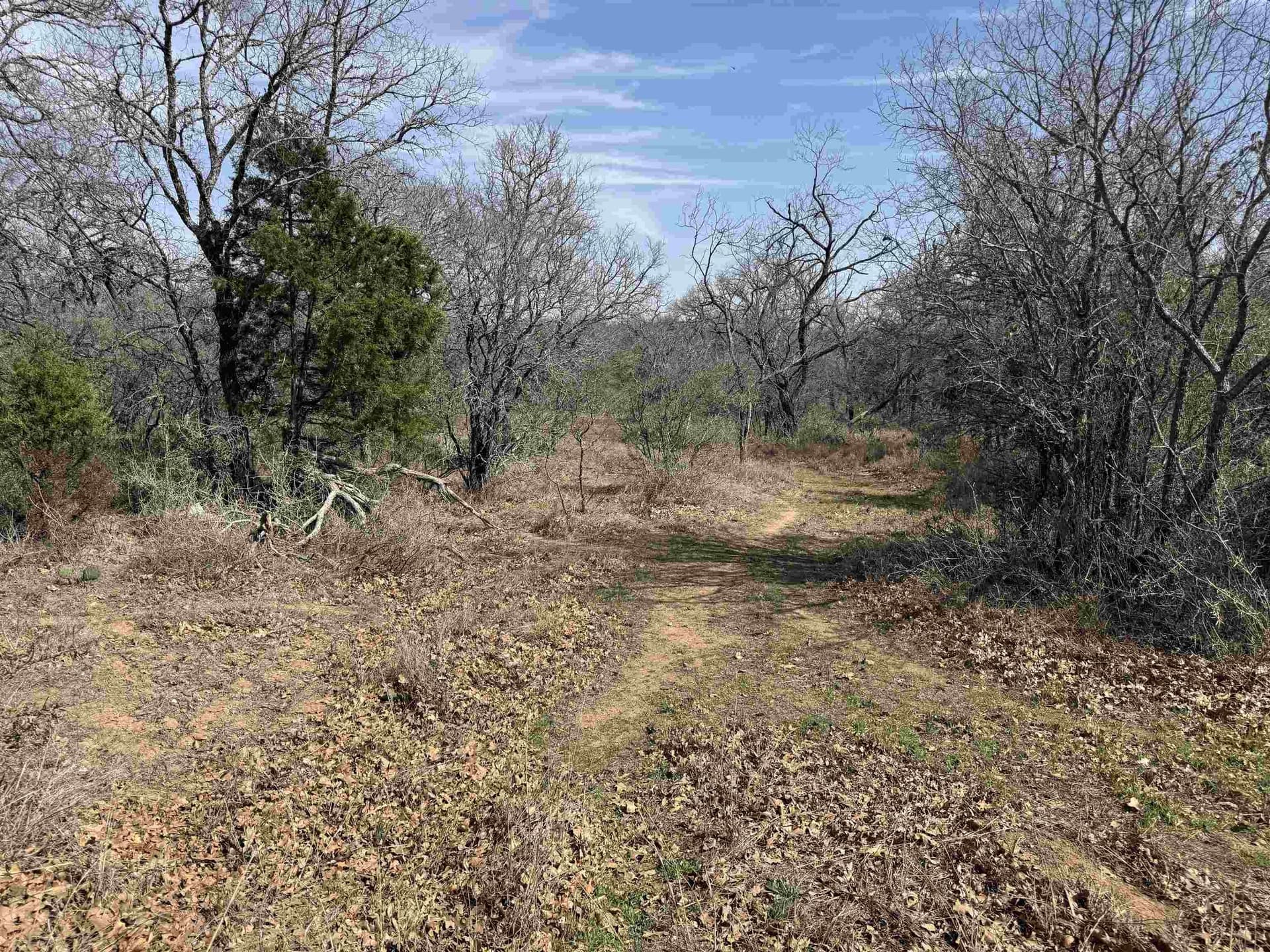 1.93 acres in Llano County gallery image 3