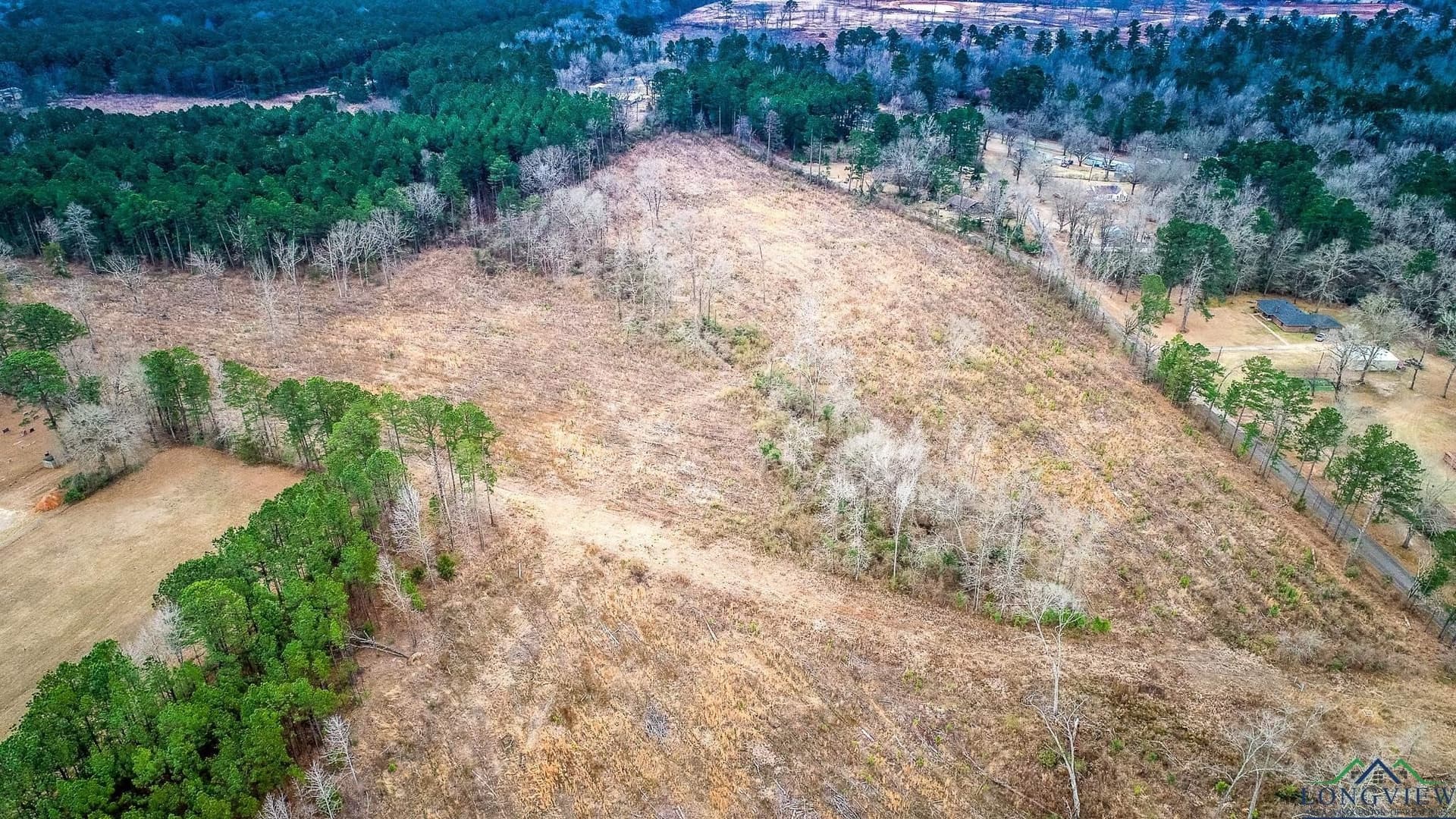 6.5 acres in Upshur County gallery image 4