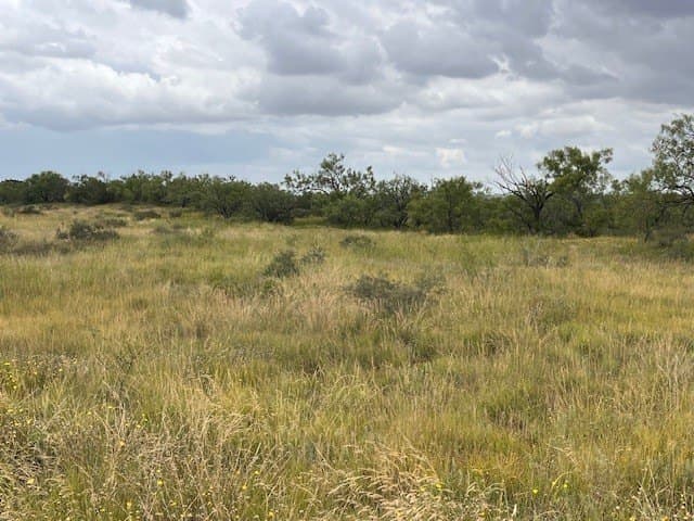 12.73 acres in Taylor County - photo 16