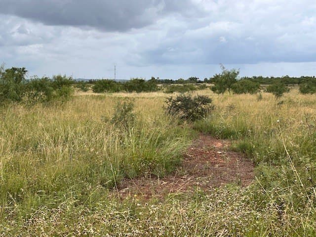 12.73 acres in Taylor County - photo 11