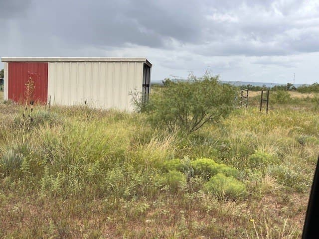 12.73 acres in Taylor County - photo 5