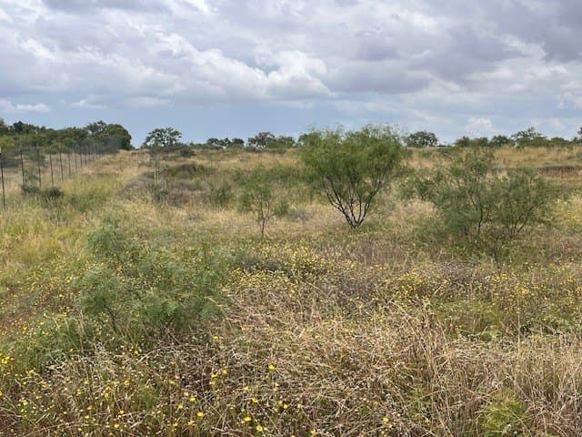 12.73 acres in Taylor County - photo 12