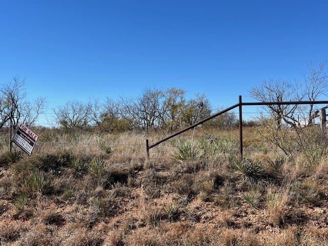 12.73 acres in Taylor County - photo 19
