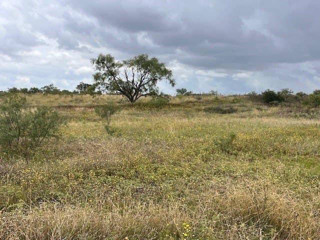 12.73 acres in Taylor County - photo 13