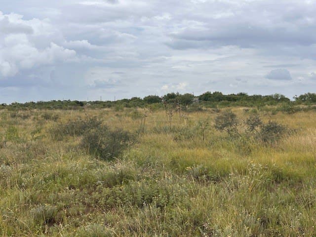 12.73 acres in Taylor County - photo 15