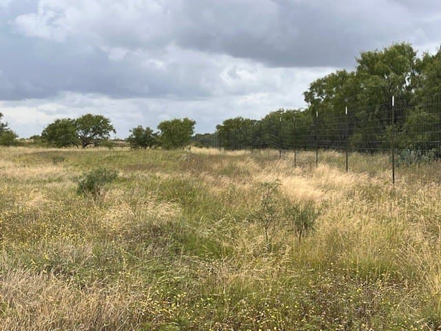 12.73 acres in Taylor County - photo 18