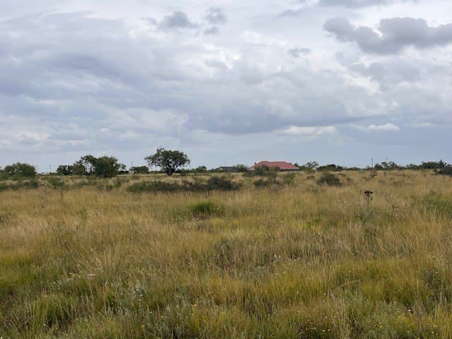 12.73 acres in Taylor County - photo 14