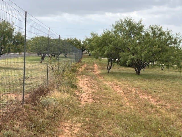 12.73 acres in Taylor County - photo 8