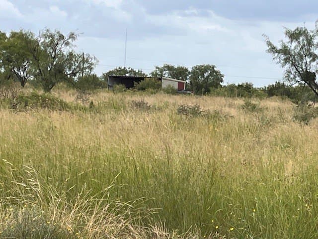 12.73 acres in Taylor County - photo 10