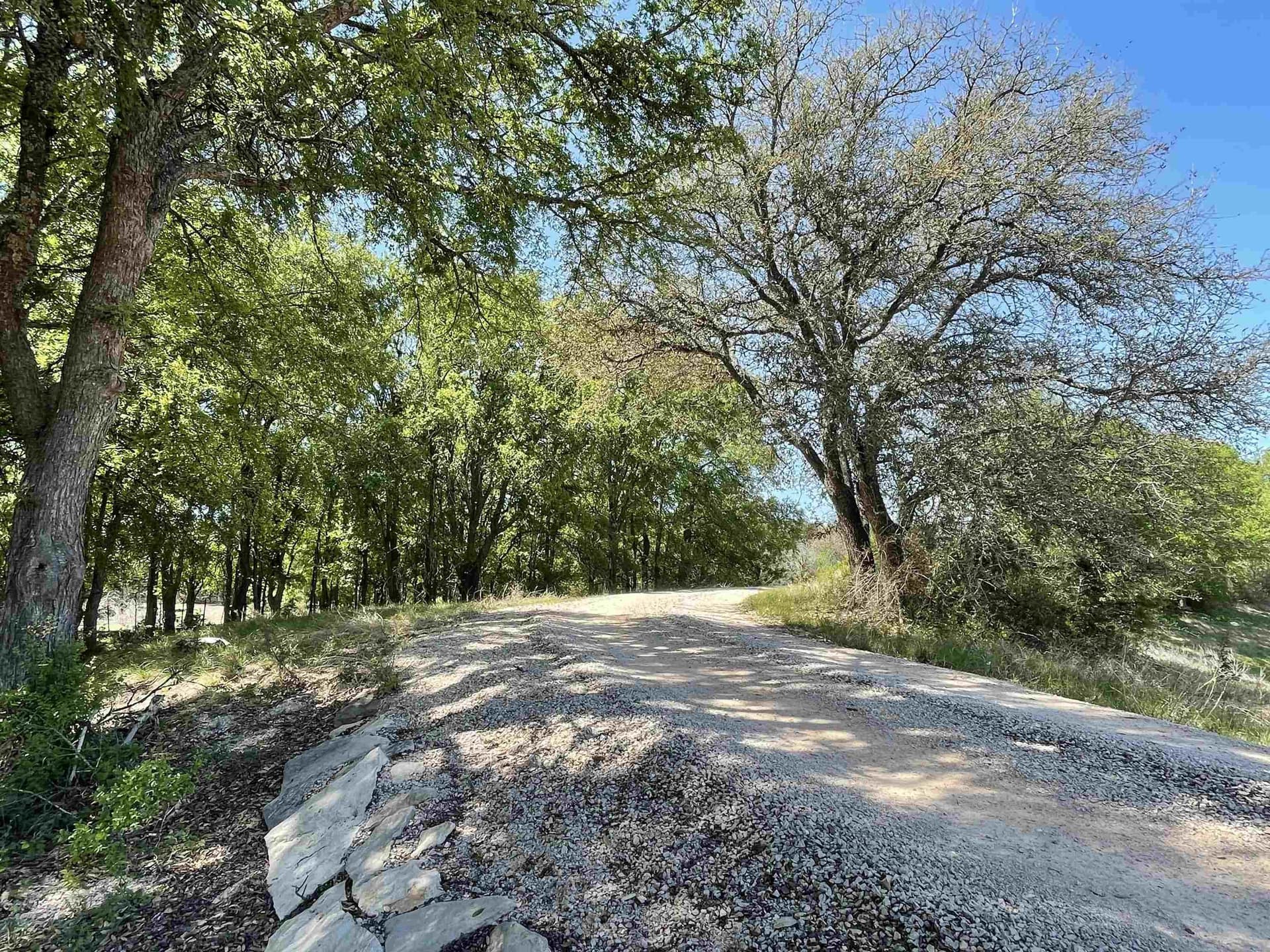 10.06 acres in Burnet County gallery image 3