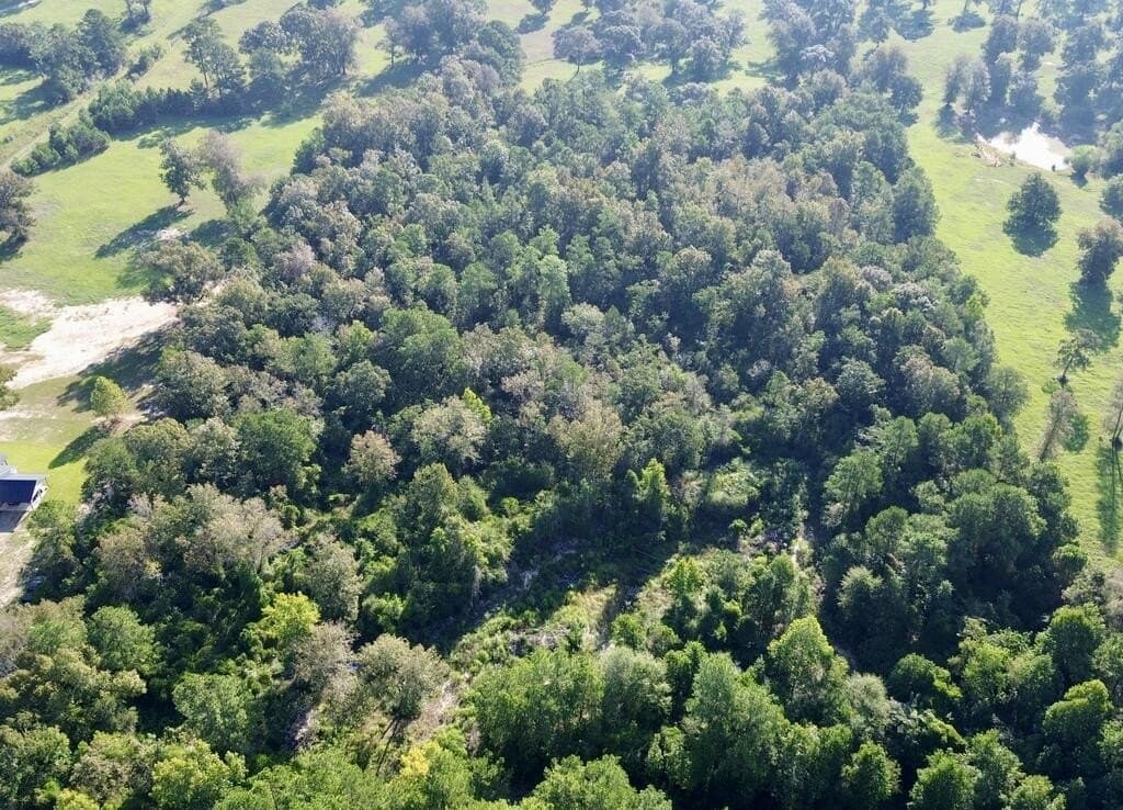 18.1 acres in Texas County - photo 11