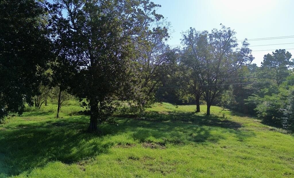 18.1 acres in Texas County - photo 3