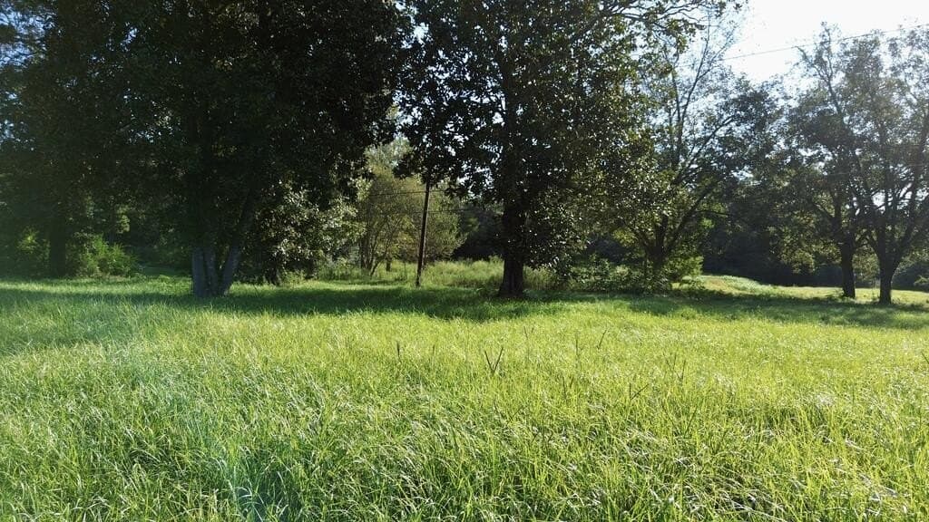 18.1 acres in Texas County - photo 14