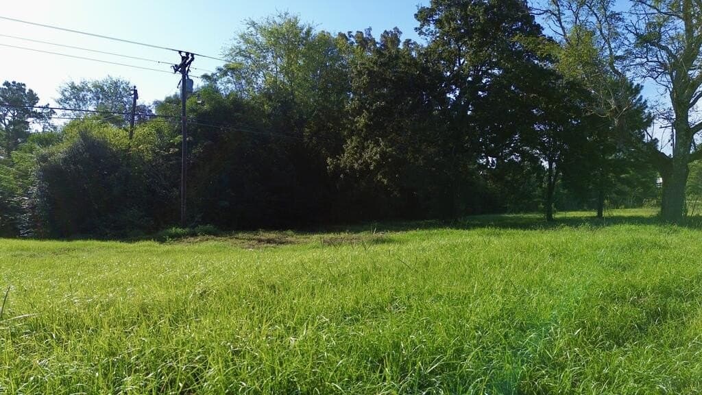 18.1 acres in Texas County - photo 7