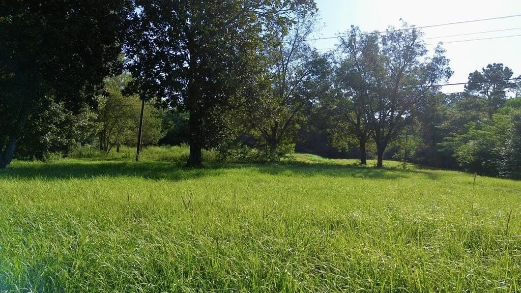 18.1 acres in Texas County - photo 15