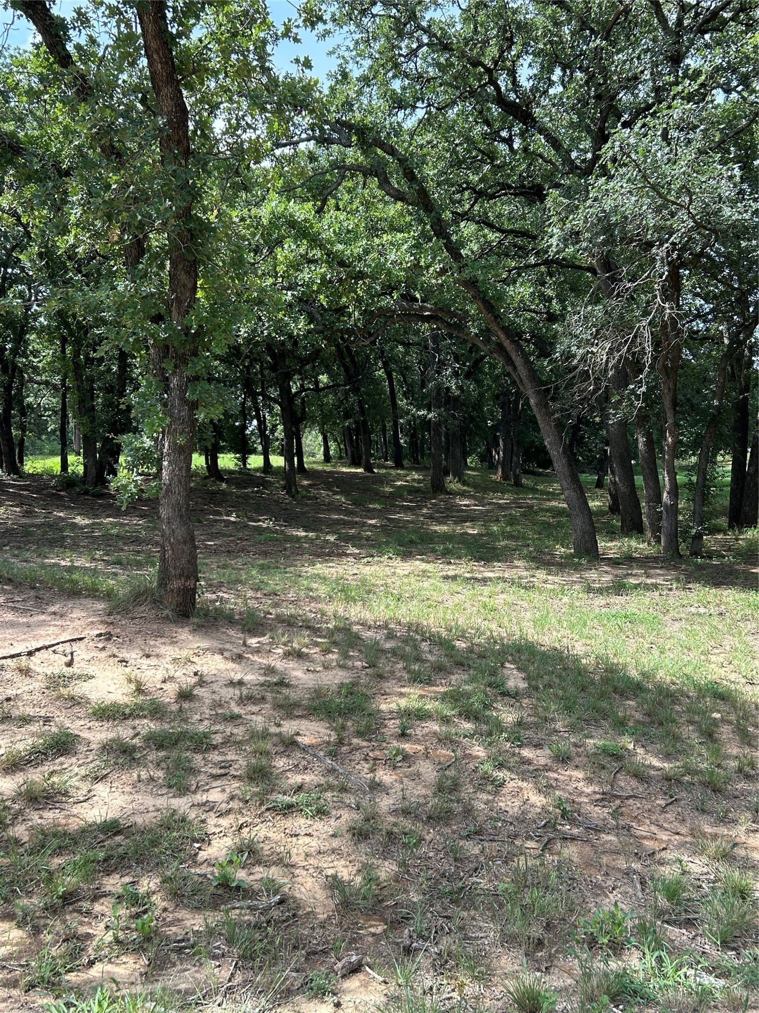 10 acres in Hamilton County - photo 33