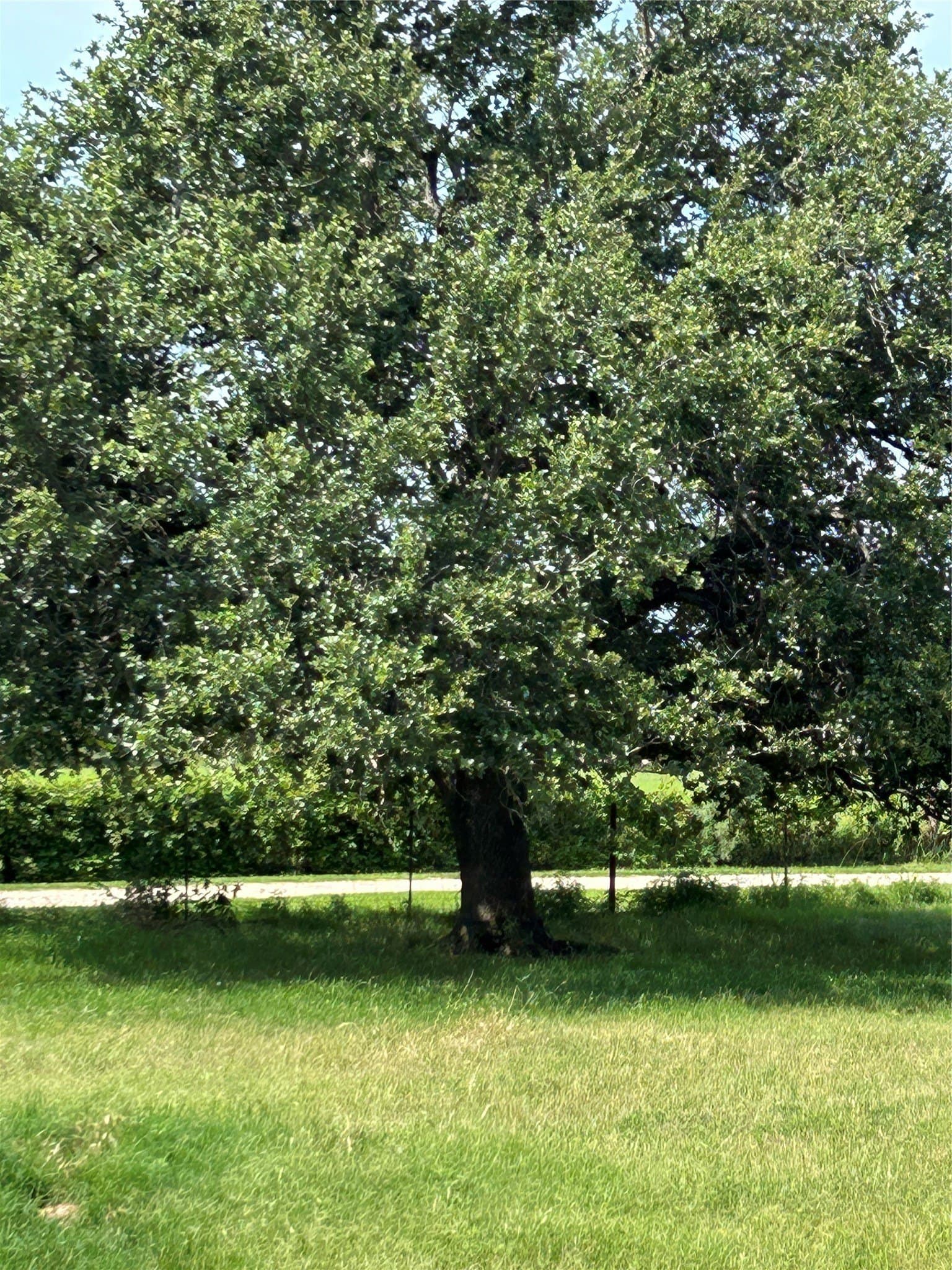 10 acres in Hamilton County - photo 34