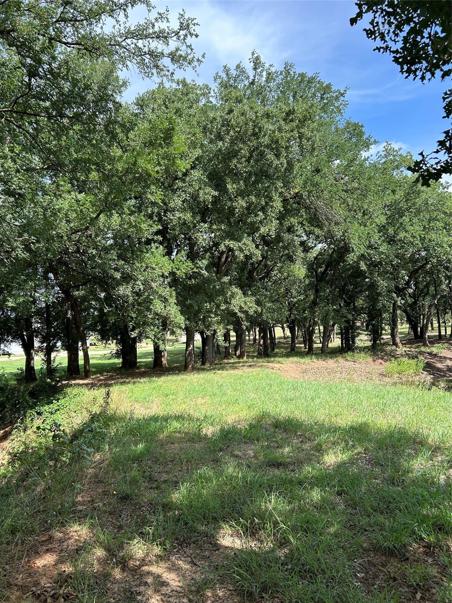10 acres in Hamilton County - photo 39