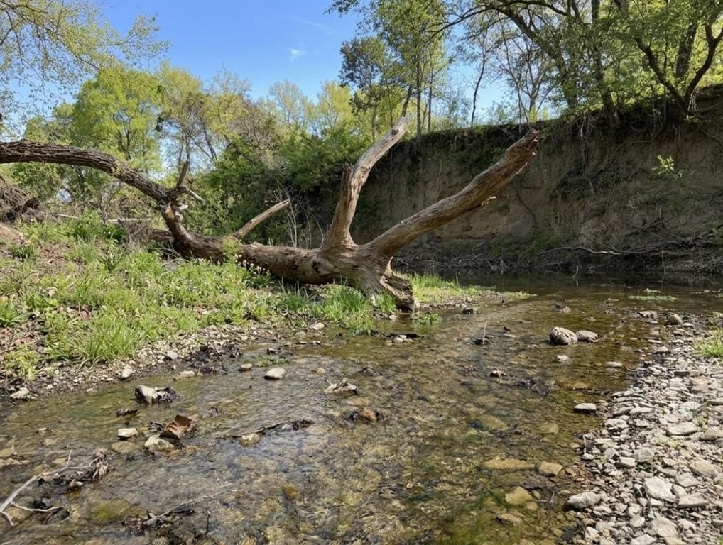 10 acres in Hood County gallery image 2