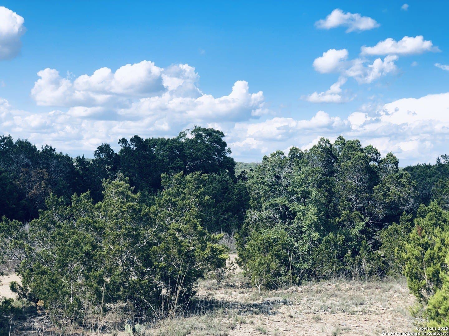 0.24 acres in Blanco County - photo 6