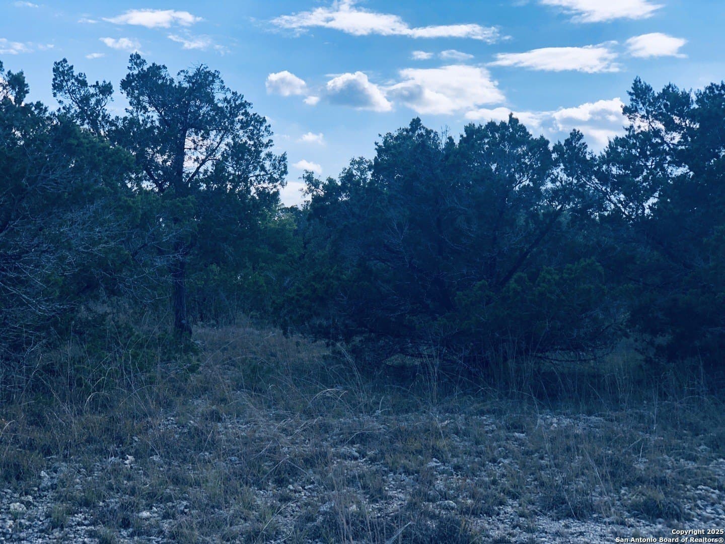 0.24 acres in Blanco County - photo 13