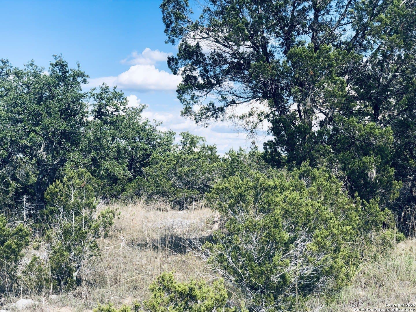 0.24 acres in Blanco County featured view