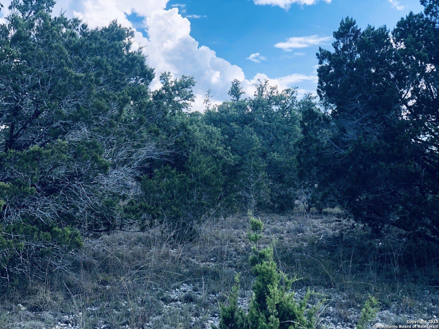 0.24 acres in Blanco County - photo 12