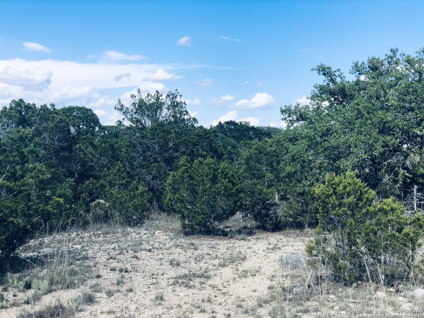 0.24 acres in Blanco County - photo 11