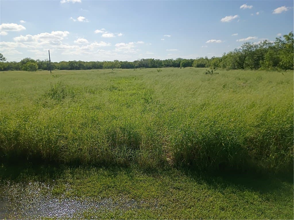 3.59 acres in Jim Wells County featured view