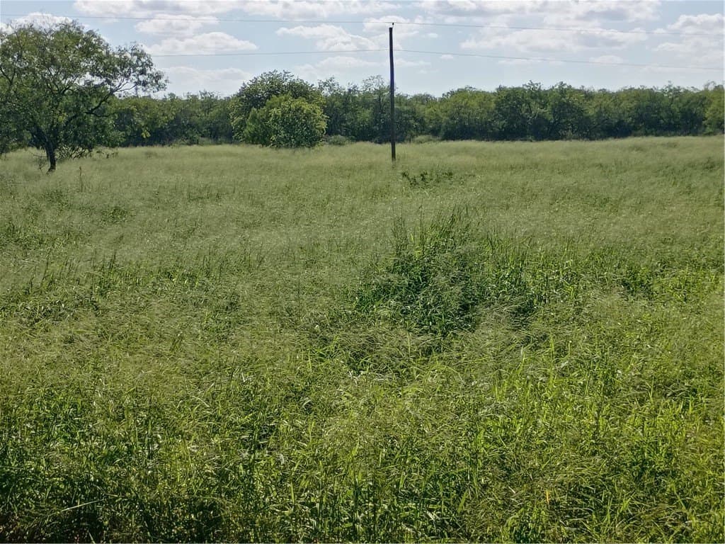 3.59 acres in Jim Wells County - photo 6