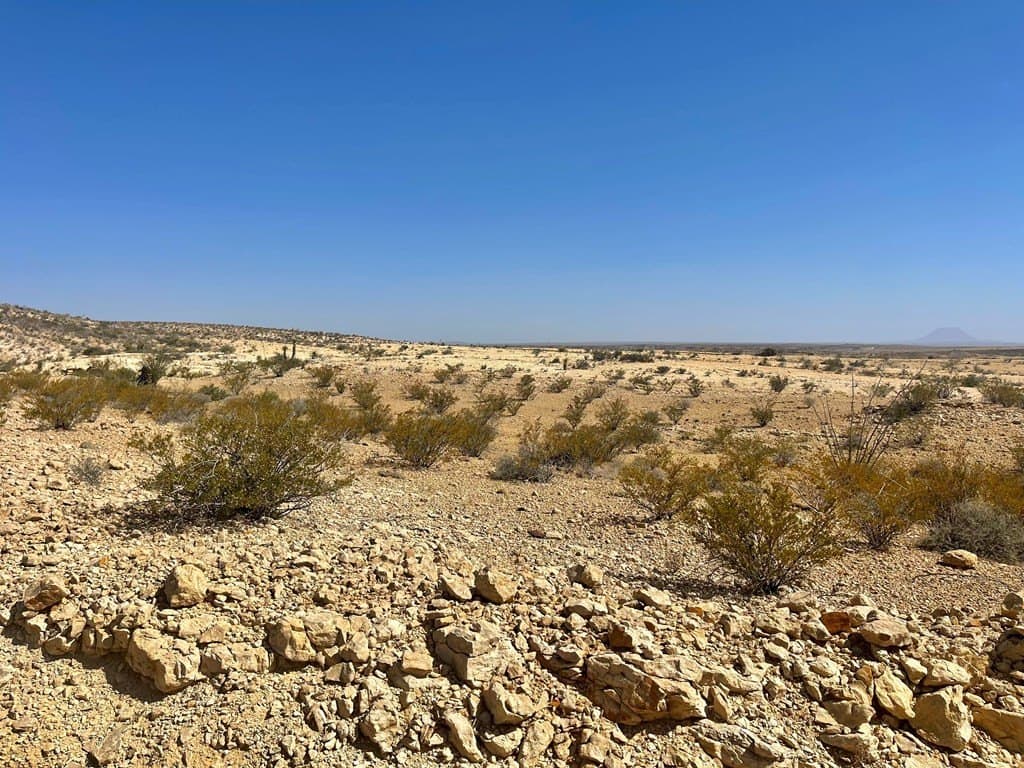 5 acres in Brewster County gallery image 3