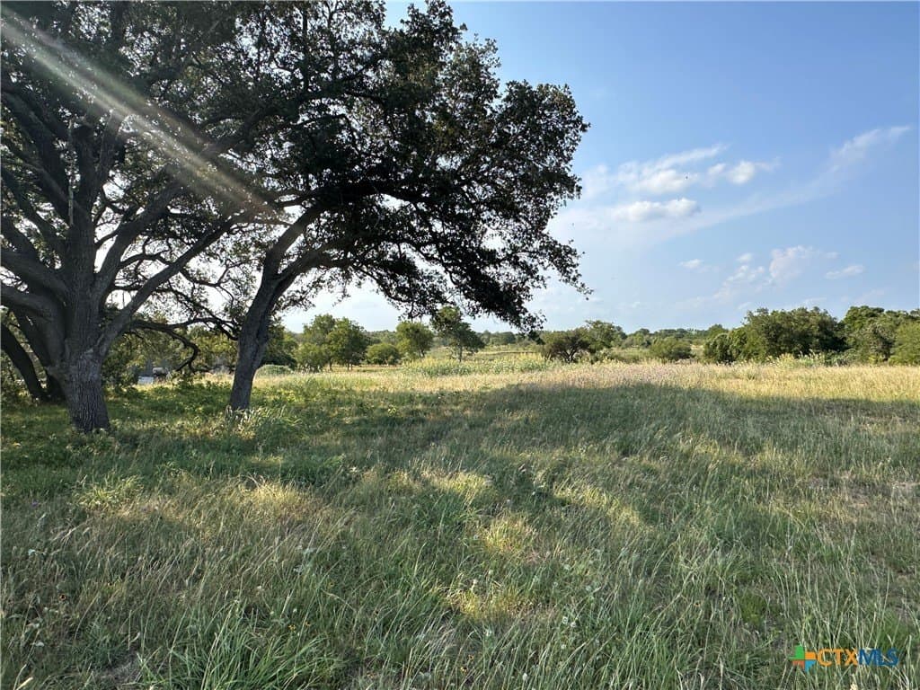 3 acres in DeWitt County gallery image 2